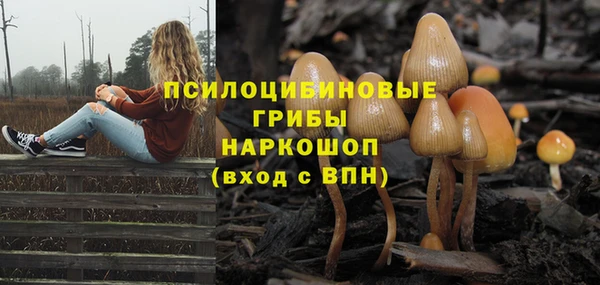 бошки Алексеевка