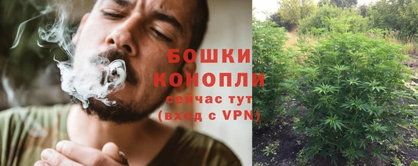 бошки Алексеевка