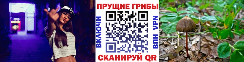 МЕГА ССЫЛКА  где купить наркотик  Безенчук  Псилоцибиновые грибы прущие грибы 